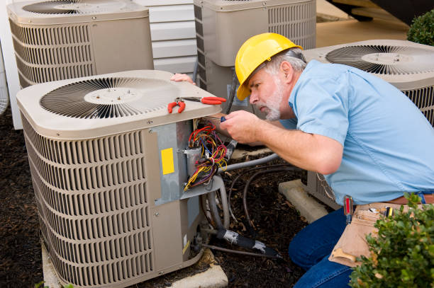 Best HVAC Air Duct Cleaning  in Carpentersvle, IL